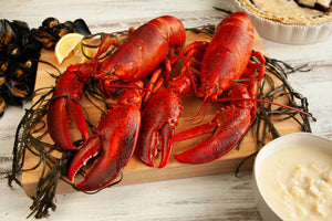 Live Maine Lobster Bundle - Lobster Taxi